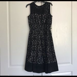 Calvin Klein Sleeveless Black Lace Belted Dress